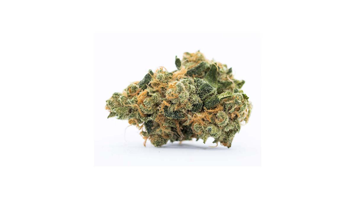 Grease Monkey: Sorte, Wirkung & THC Gehalt