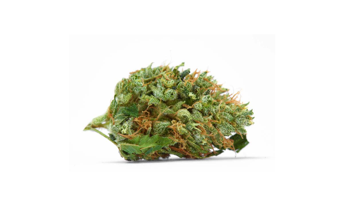 Cannabis Gewöhnungseffekt: Abhängigkeit, Risiken & Behandlung