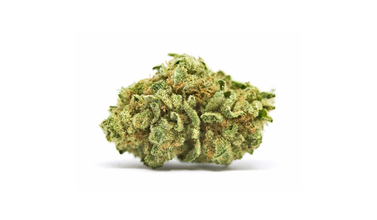 Pineapple Express: Sorte, Aroma & THC Gehalt