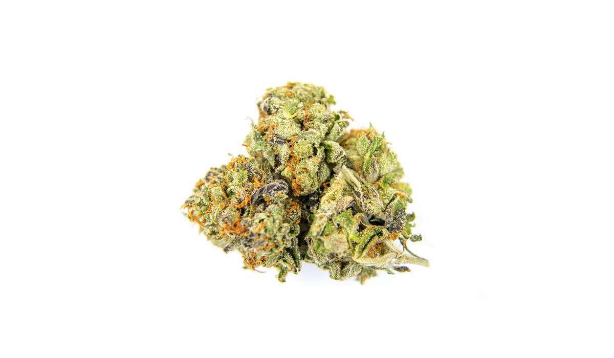 Ruderalis Cannabis: Sorten, Wirkung, Genetik & worauf achten beim Kaufen?