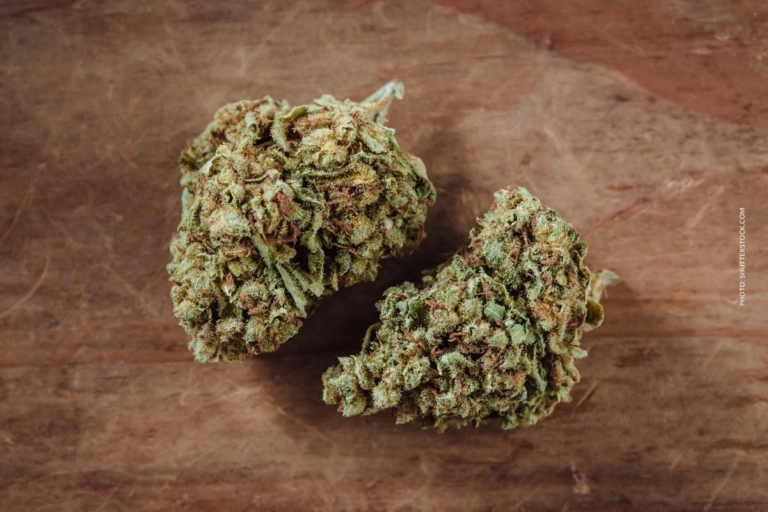 Cannabis-Sucht: Risiken, Behandlung & Hilfe