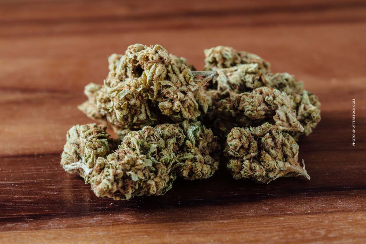 Cannabis und Sexualität: Wirkung, Libido & Gesundheit