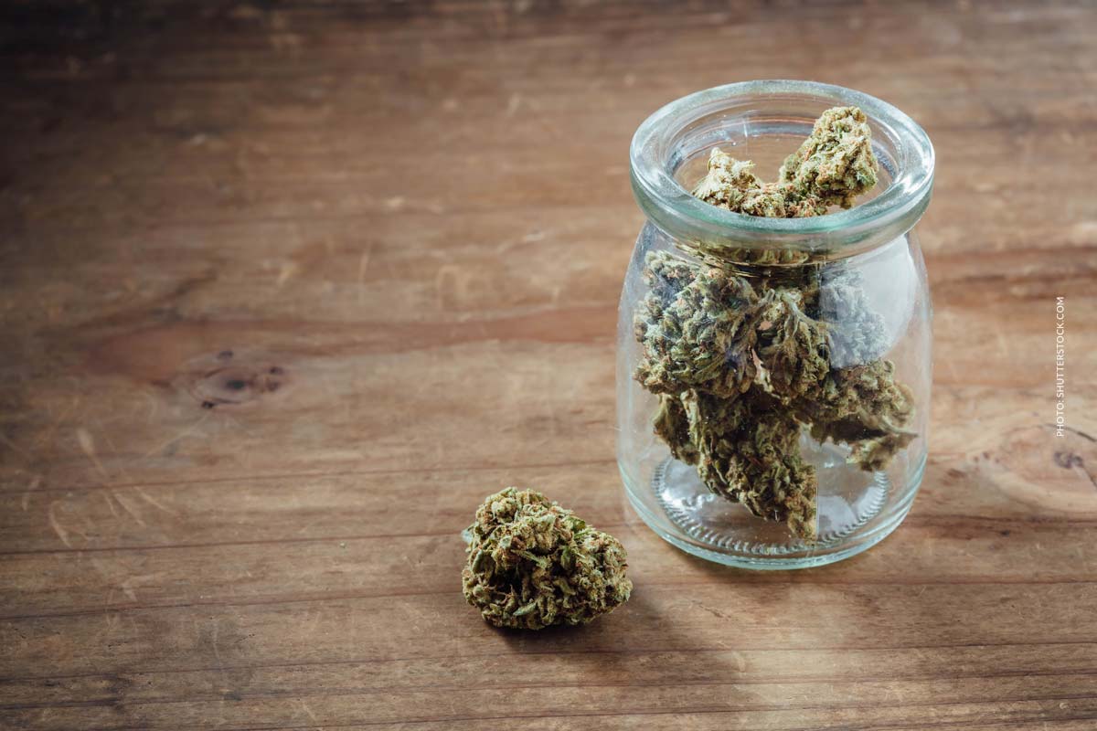 Limonen Cannabis Terpen: Aroma, Geschmack, Effekt & Wirkung