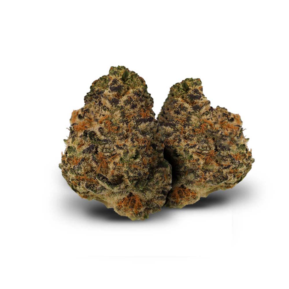 El Jefe Cannabis Arzt Rezept Apotheke Shop Blute Thc Wirkung Buds