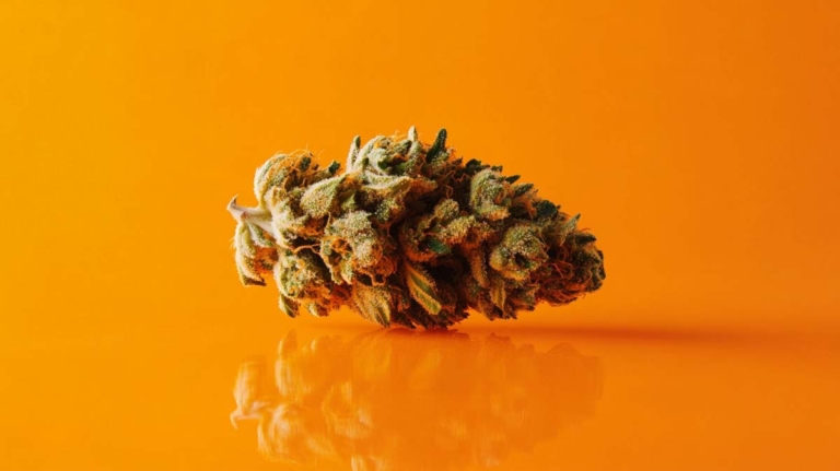 THC Kaugummi: Wirkung, Legalität & Anwendung