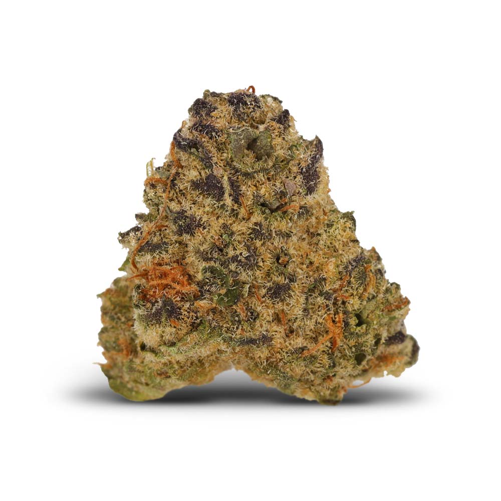 El Jefe Cannabis Arzt Rezept Apotheke Shop Blute Thc Wirkung
