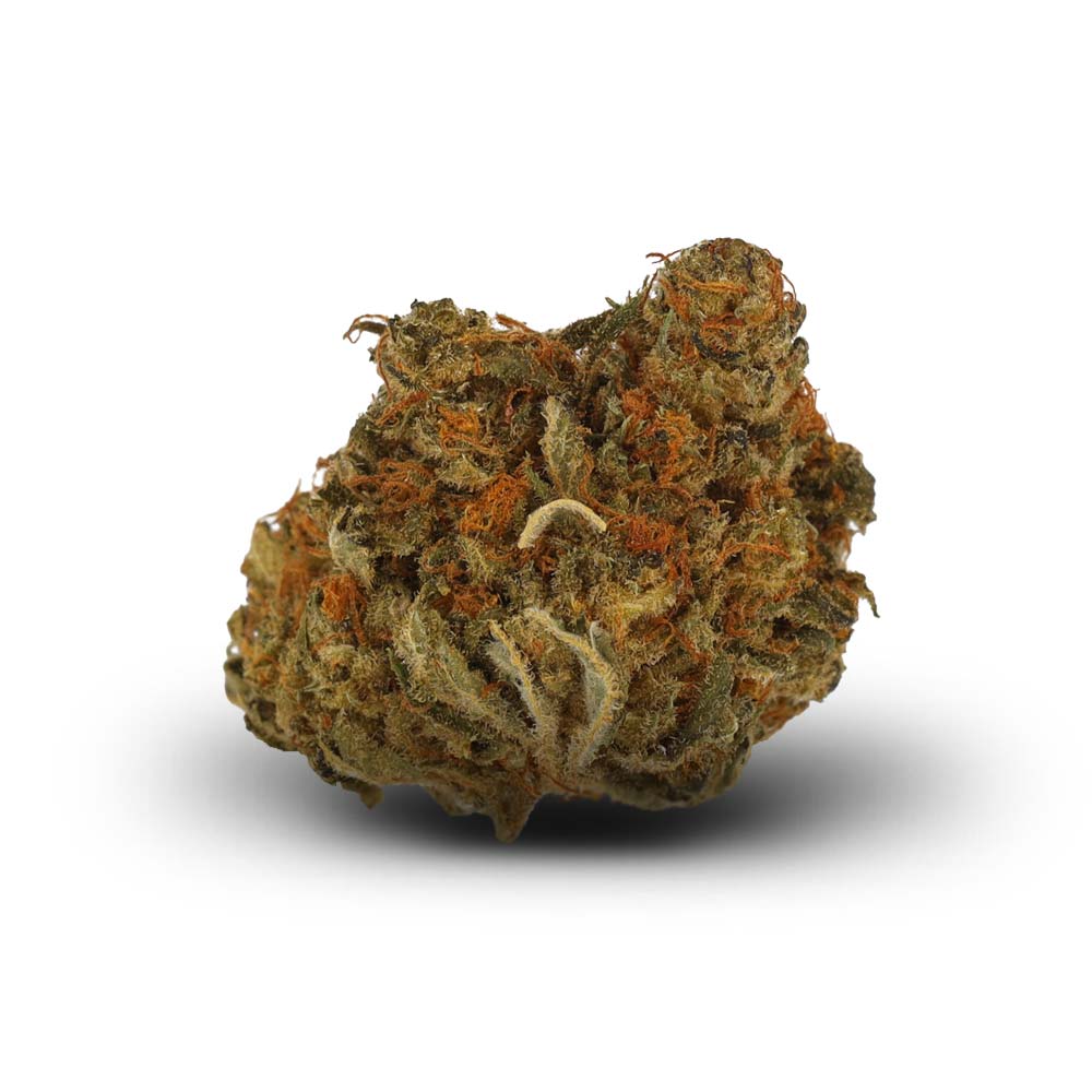 Mango Haze Cannabis Arzt Rezept Apotheke Shop Blute Thc Wirkung