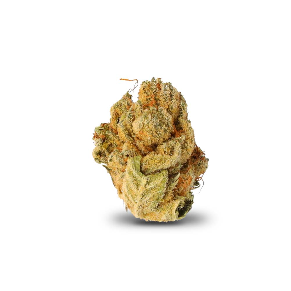 Tire Fire Cannabis Arzt Rezept Apotheke Shop Blute Thc Wirkung