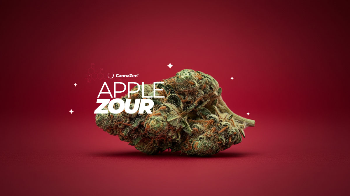 Cinderella 99: Sorte, Aroma & THC Gehalt