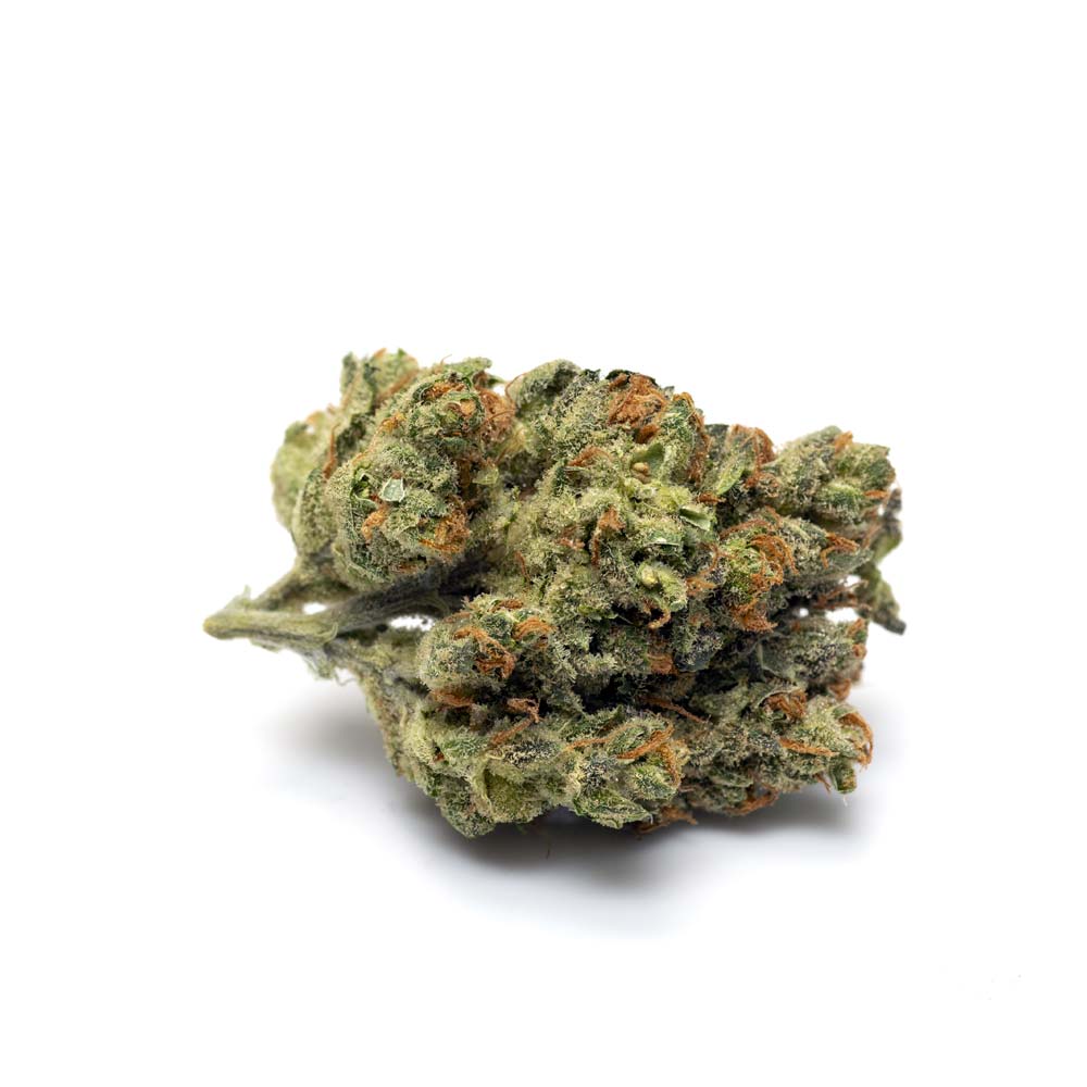 Cannabis Sorte Shop Apotheke Kush Sorte 1G