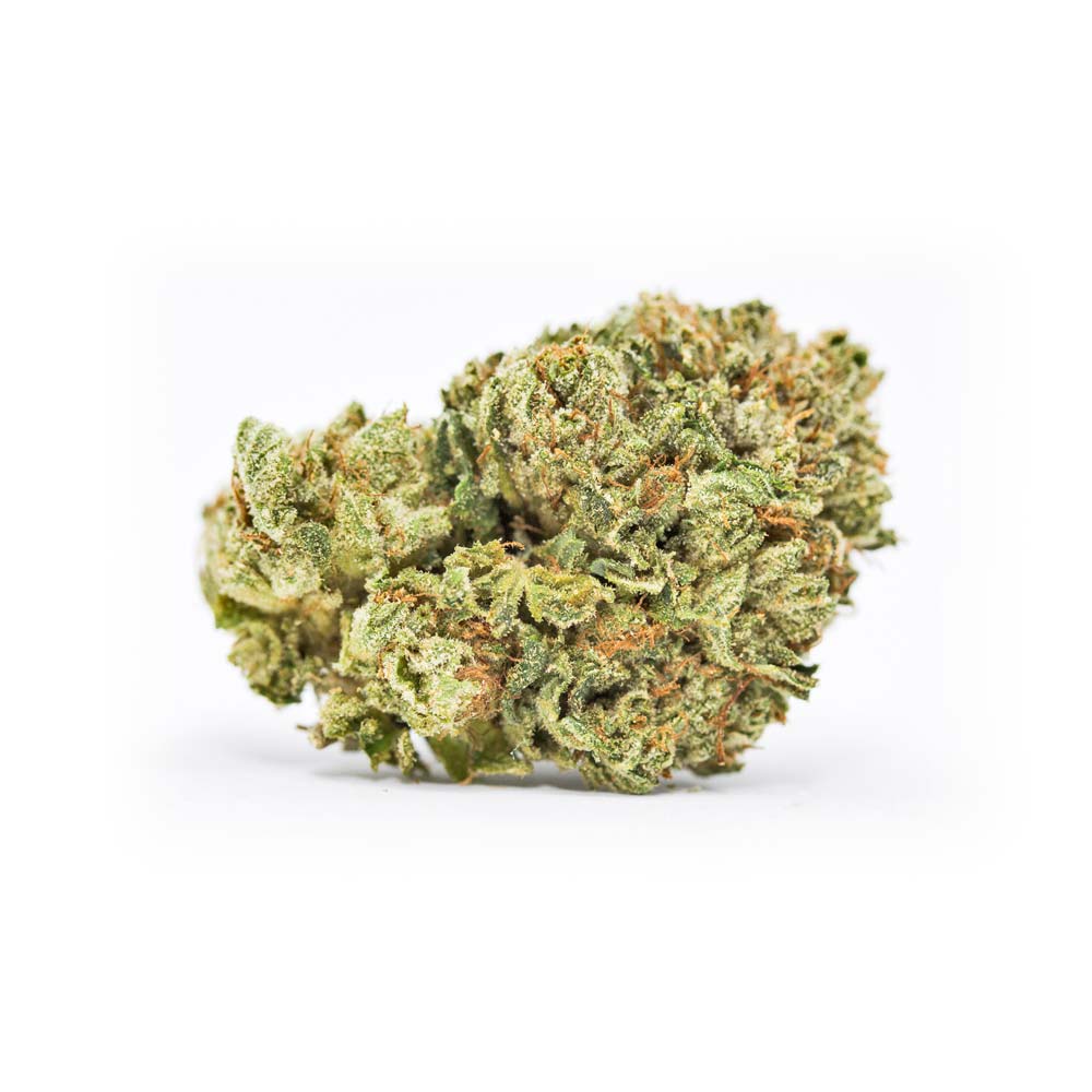 Cannabis Sorte Shop Apotheke Northern Lights