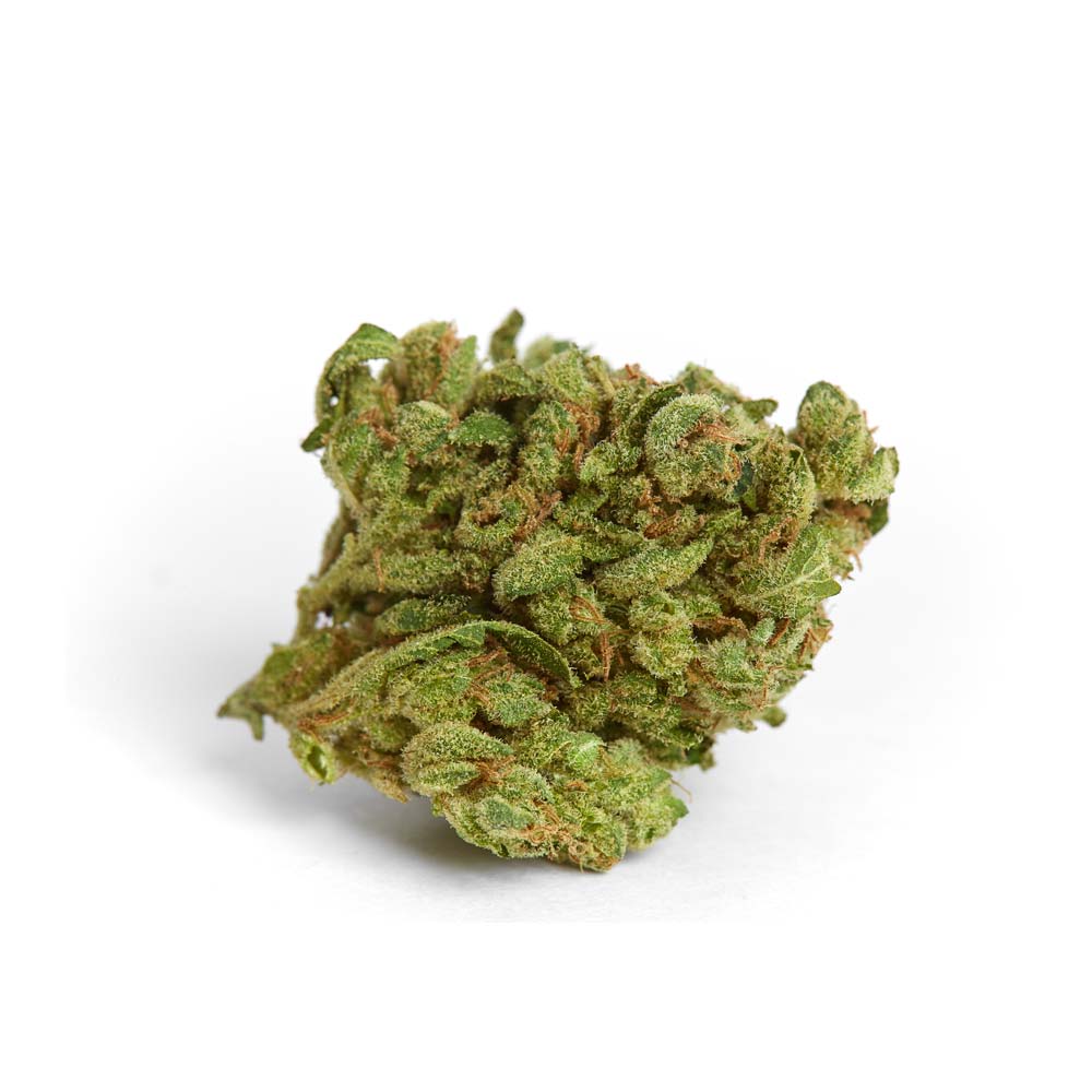Cannabis Sorte Shop Apotheke Sativa Terpene