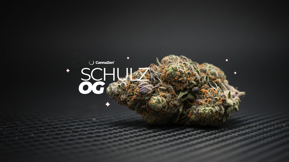 Trainwreck: Sorte, Aroma & THC Gehalt