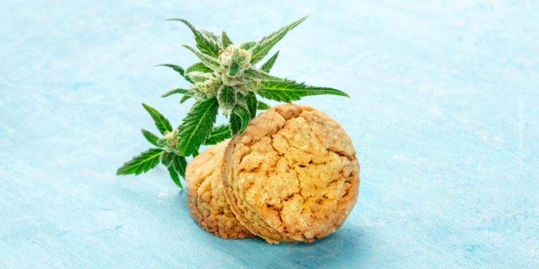 Cannabis bei Arthrose: Linderung, Behandlung, Erfahrung & Studienlage