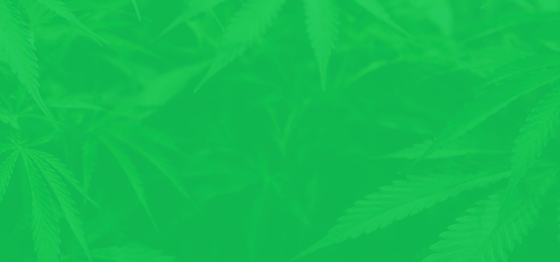 Cannabis online bestellen mit Apple Pay: Neu im Shop, Zen dir mit iPhone!