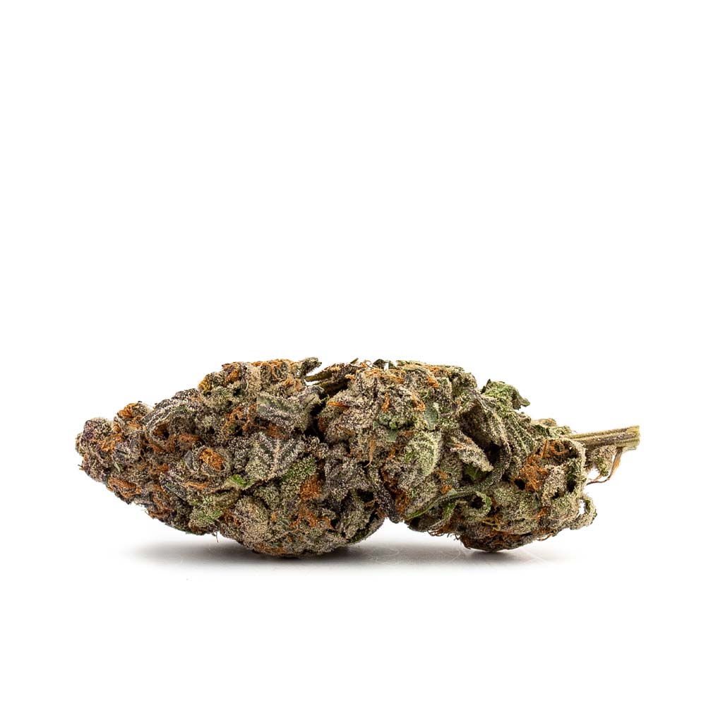 Shop Cannabis Bestellen Blueberry Blaubeere Hanf Gras Bluete