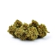 OG Kush x 24,0% THC | Cannamedical