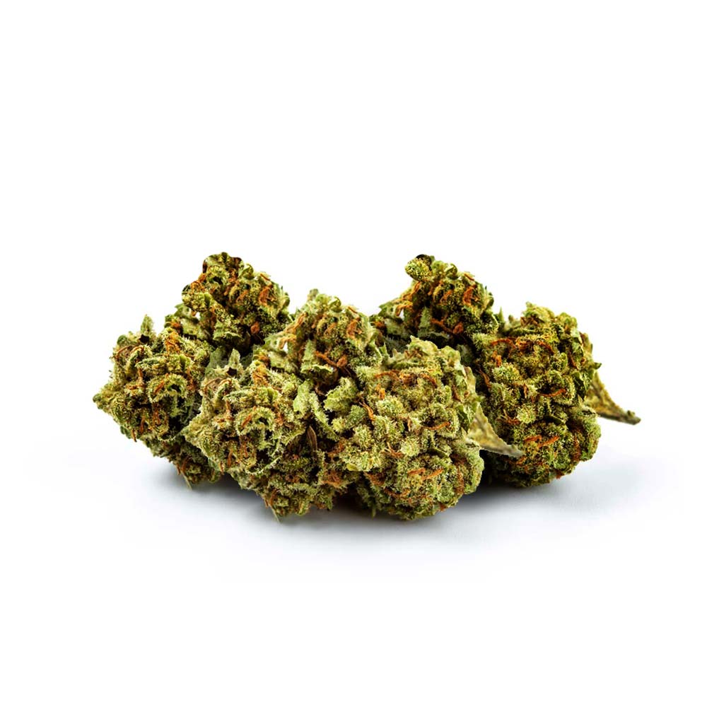 Cannabis Sorte Shop Apotheke Orange Bud Klassiker Buds