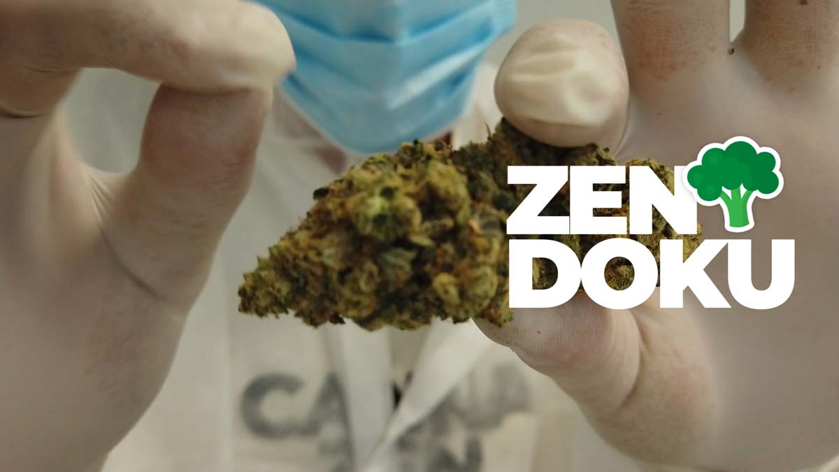 Cannabis Wirkstoffprofil: Inhaltsstoffe, Effekte & Anwendung