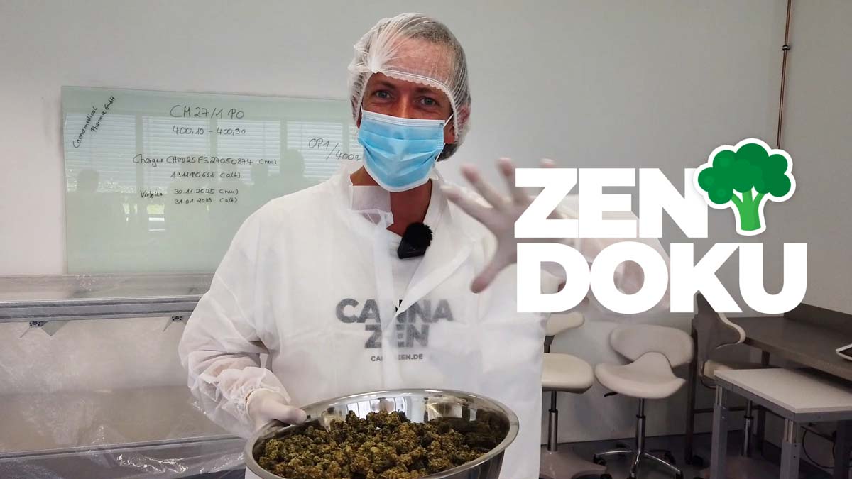 Marihuana medizinisch: Therapie, Anwendung & Nutzen