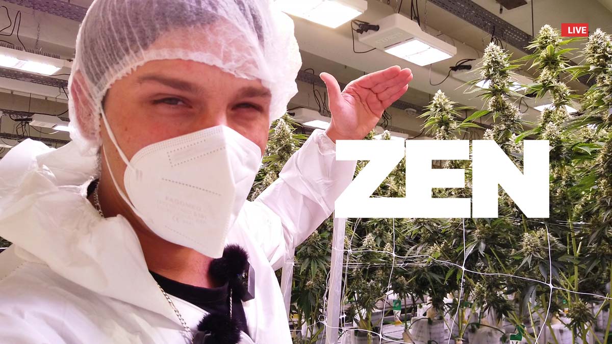 Weed Land x YouTube: Wissen und Menschen