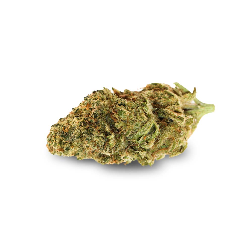 Bud Tropic Thunder Shop