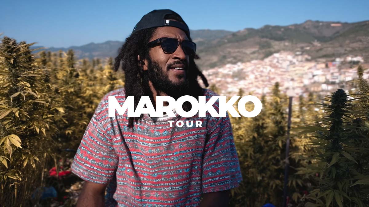 Cannabis Marokko: Tanger, Rif-Gebirge, Ketama, Haschisch Plantagen – Doku