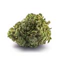Cannabisblüte im Shop, Hybrid