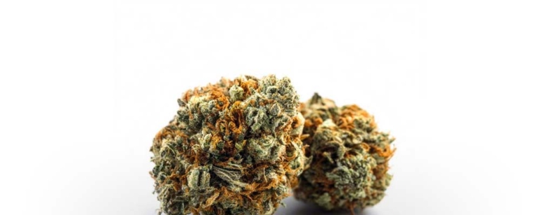 Cannabis Darreichungsformen: Anwendung, Gesundheit & Nutzen