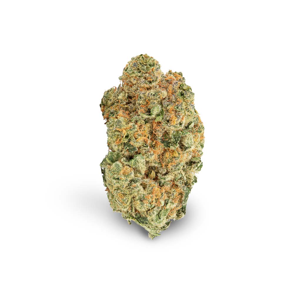 Shop Cannabis Rezept Cannabisblute Blute Midnight Avaay Bud Weed Bestellen Kaufen Shop