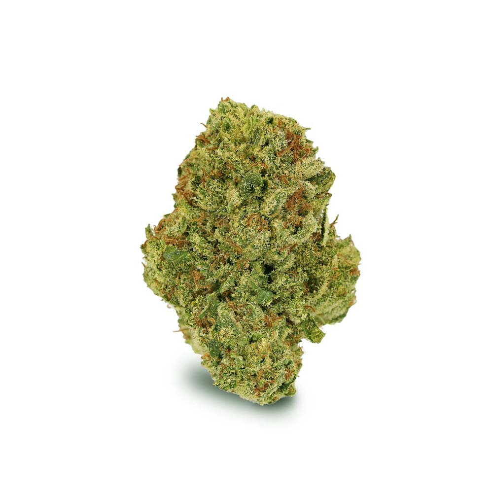 Watermelon Og Luana Blute Shop Cannabis Rezept Apotheke Weed Bud