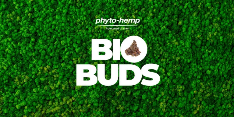 Feuchtigkeitspads für Weed: Frische, Lagerung & Haltbarkeit