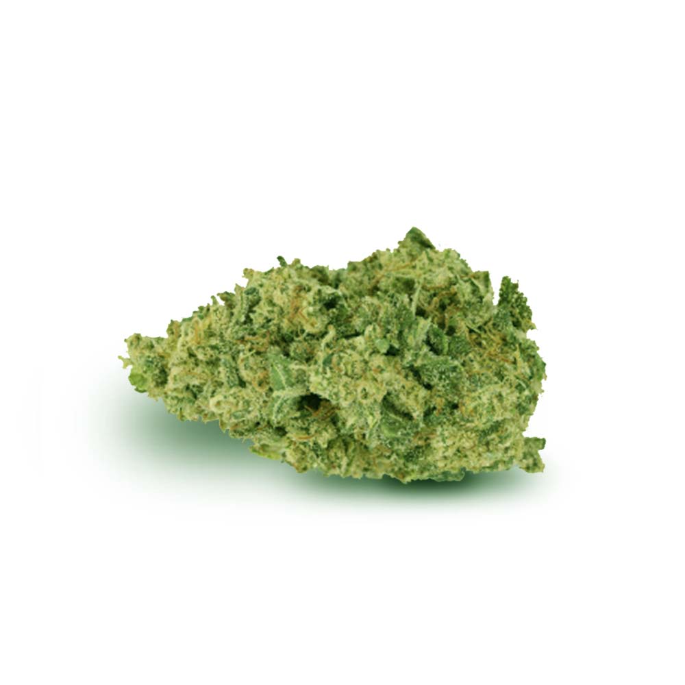 Bud Durban Poison Shop