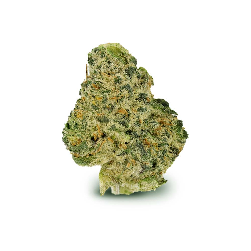 Bud El Jefe Shop