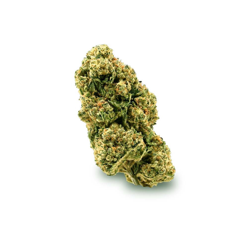 Bud Golden Goat Shop