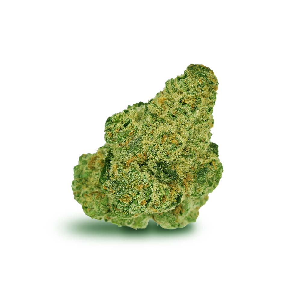 Bud Sunset Serenity Shop