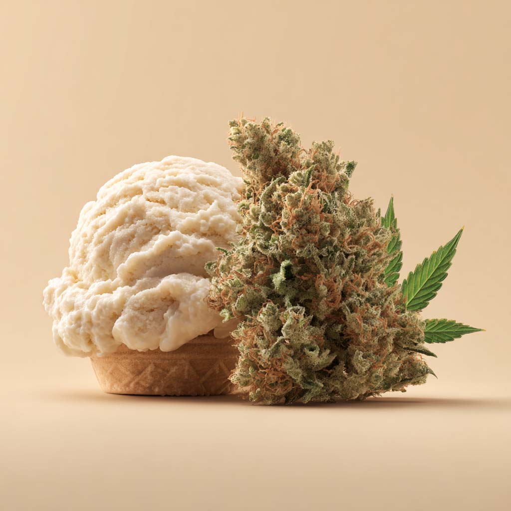 Cannazen Shop Cannabis Weed Sorte Aroma Geschmack Icecreem Waffle Waffeln Eis