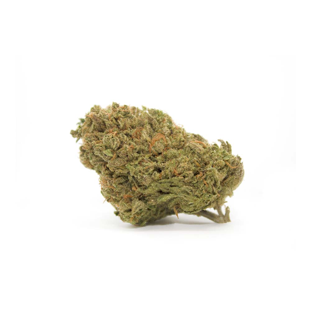 Haze Bud Cannabis Arzt Rezept Apotheke Shop Blute Thc Wirkung Weed Shop