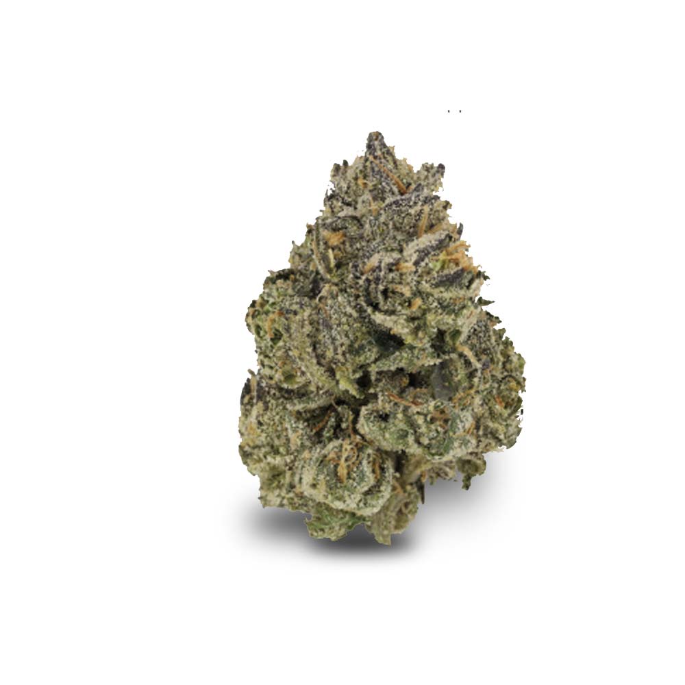 Midnight Lotus Cannabis Arzt Rezept Apotheke Shop Blute Thc Wirkung