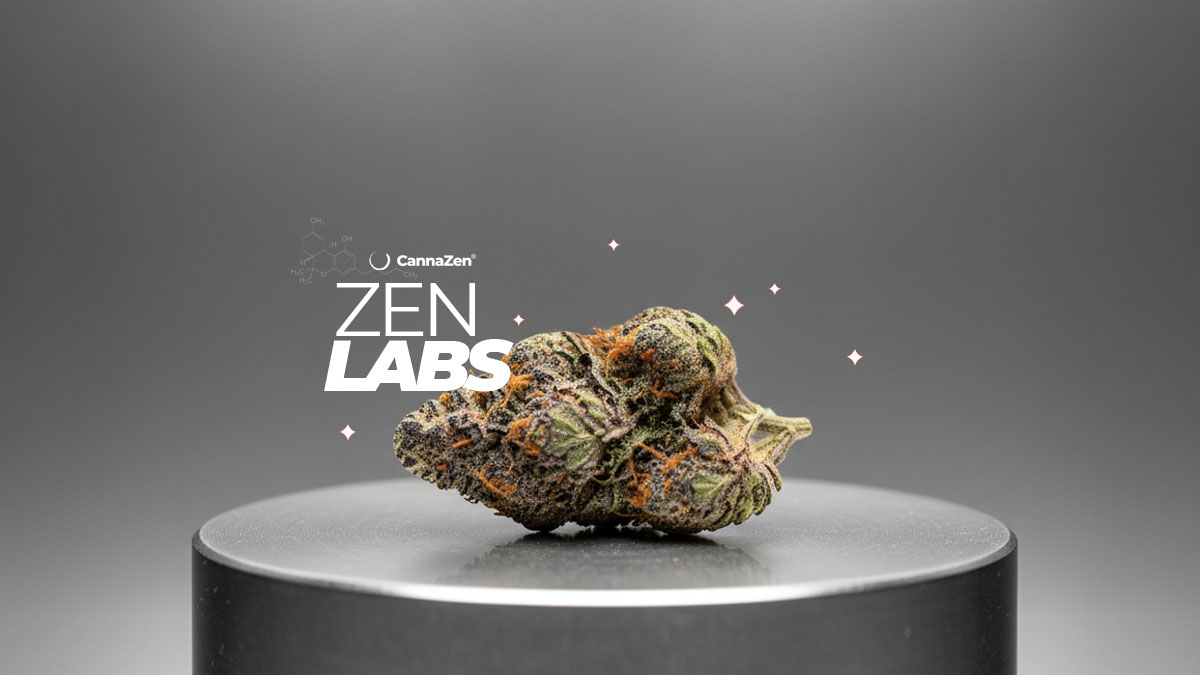 Burmese Kush: Sorte, Aroma & THC Gehalt