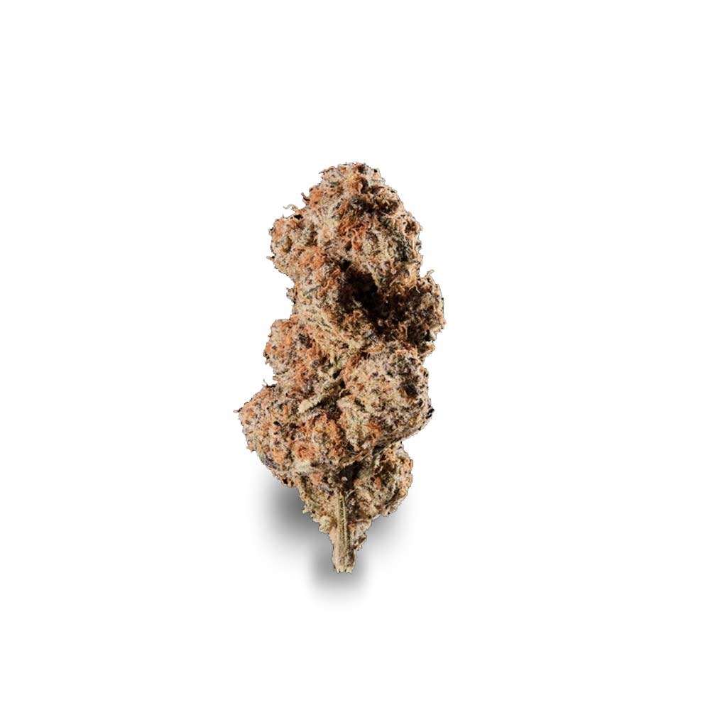 Cannabis Blute Shop Cap Junky Kaufen Bestellen Rezept Online Koeln