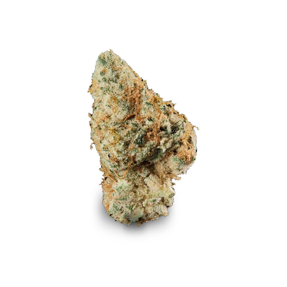 Cannabis Blute Shop Masterpiece Kaufen Bestellen Rezept Online Hamburg