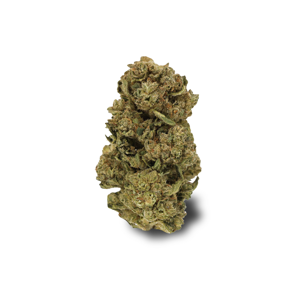 Cannabis Bluete Shop Starhaze Og Luana