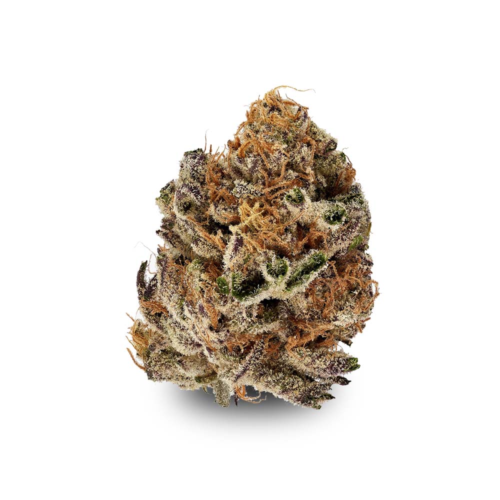 Cannabis Bluete Shop Citron Biker Cookies Slouu