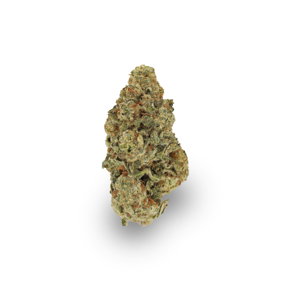Papaya Boom